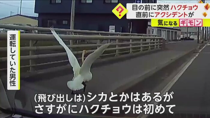 (FNN投稿サイト「ビデオPost」)