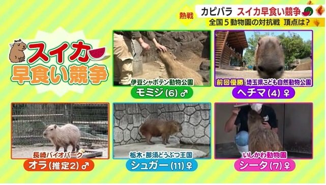 最年少は推定2歳 最年長は11歳の大ベテラン