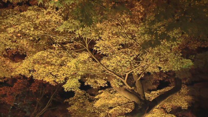 晩秋の「由志園」
