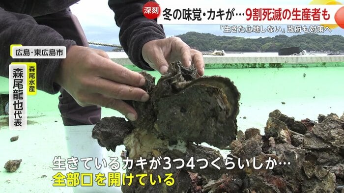 広島県のカキもダメージを受けていた