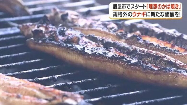 「曲がり」だから7割の値段…規格外ウナギが職人の蒲焼きに 鹿屋の生産者が生み出した「規格外の可能性」とは【鹿児島】|FNNプライムオンライン