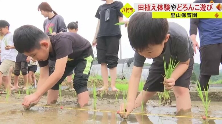自然と触れ合う里山保育　園児たちが田植えに挑戦も最後は…主食の米を作る過程を知る【熊本発】｜FNNプライムオンライン