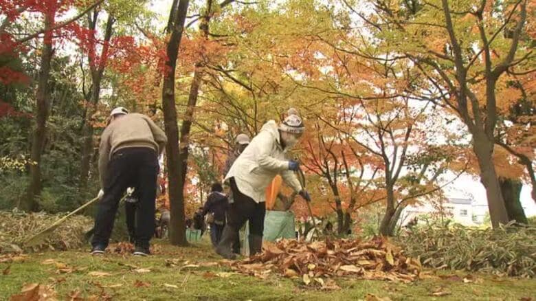 国名勝の養浩館庭園で市民ら参加し落ち葉拾い　苔むす庭に広がる赤や黄色の葉　景観の保全へ毎年開催｜FNNプライムオンライン