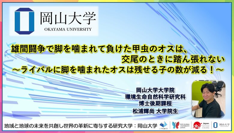 【岡山大学】雄間闘争で脚を噛まれて負けた甲虫のオスは、交尾のときに踏ん張れない~ライバルに脚を噛まれたオスは残せる子の数が減る!~