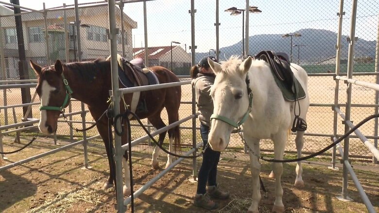 引退競走馬の厳しい現実…寿命全うは1％ 次のステージあるのは一握り「まだまだやれる」馬のセカンドキャリアを支援｜FNNプライムオンライン