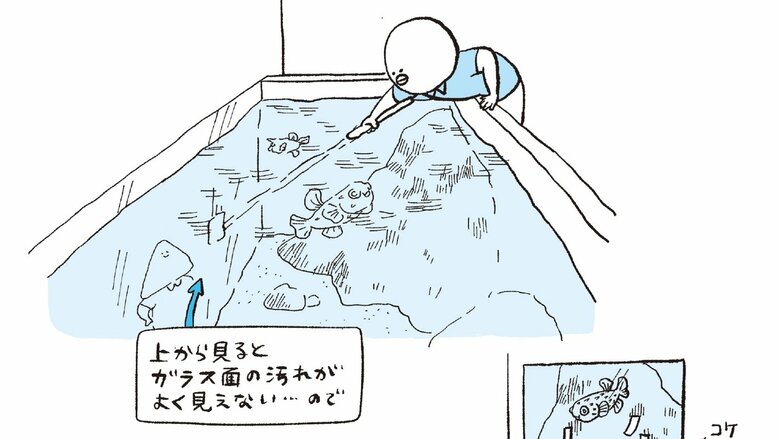 水族館の水槽ってどう掃除する？元水族館飼育員・なんかの菌さんが教える油断ならない掃除方法とつい見てしまうところ｜FNNプライムオンライン