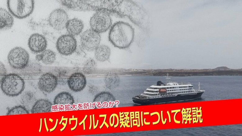 【徹底解説】ハンタウイルスの特徴や症状は?　感染症専門家「ヒト-ヒト感染はまれ」「ワクチンない」…しかしそれには理由が｜FNNプライムオンライン
