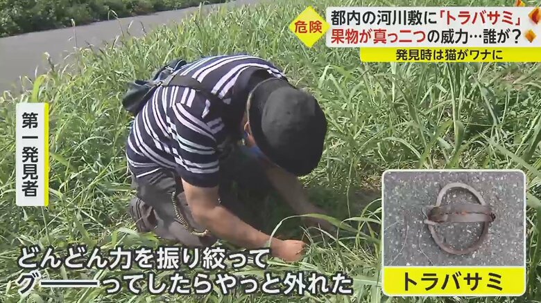 トラバサミを外すと、猫は逃げていった