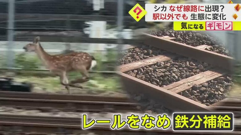 (FNN投稿サイト「ビデオPost」)