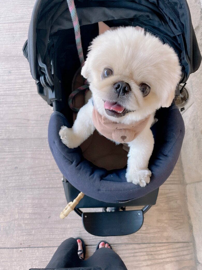 提供：てんてんの毎日さん