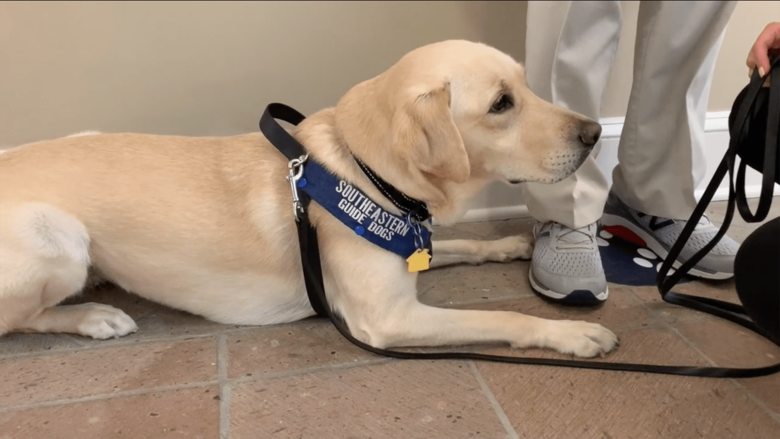 感染者を発見すると足元に座り込んで知らせる