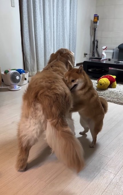 提供：うにandおからさん