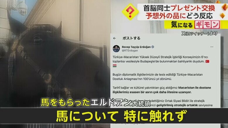 エルドアン大統領のSNSの投稿。馬については特に触れられていない