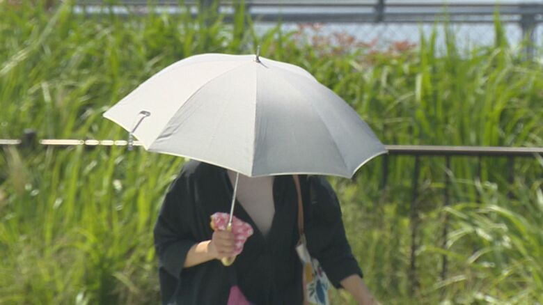 日傘で熱中症対策