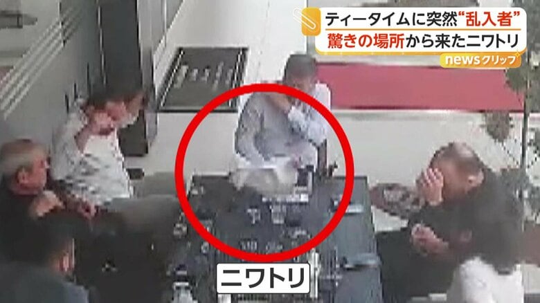 突然飛んできたニワトリ（IHA）
