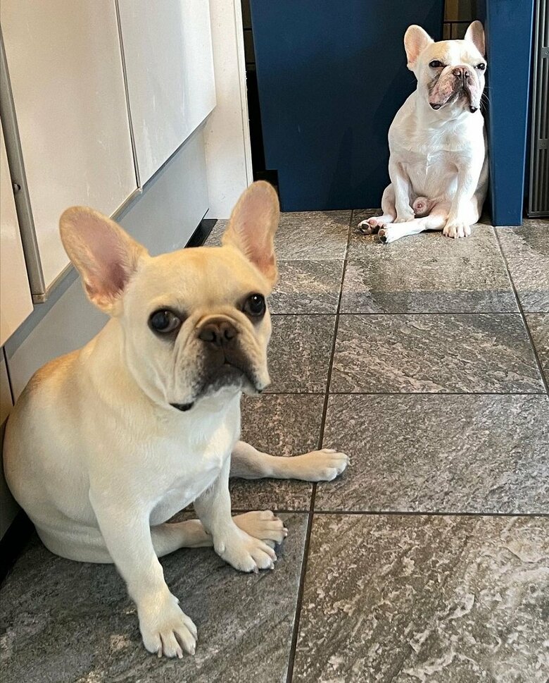 左：はるくん　右：まるおくん