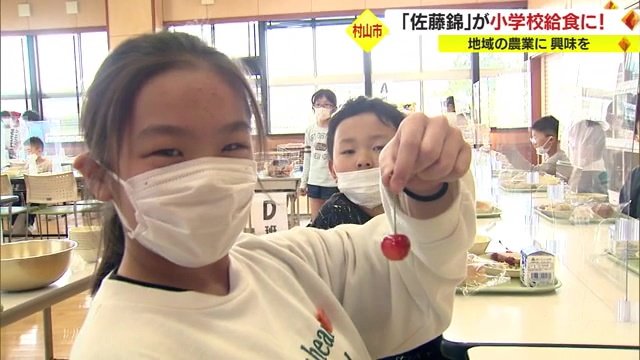 年に一度だけ給食に登場するサクランボ「佐藤錦」