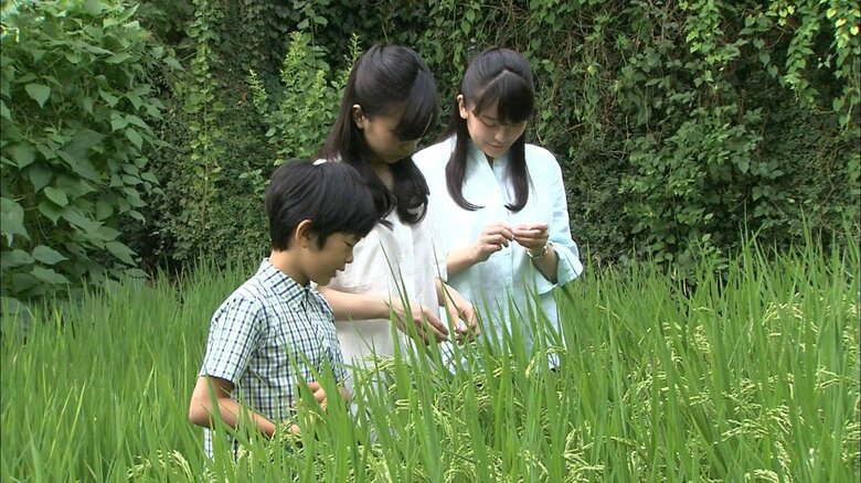 10歳になられた悠仁さま　2016年9月