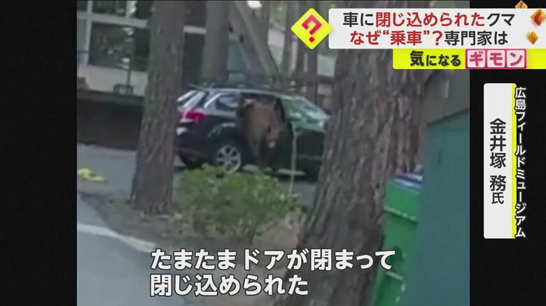 ドアが開き、車から降りてくるクマ