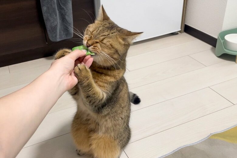 おいしすぎて顔が…