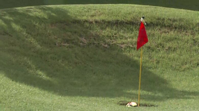 見事カップイン成功！