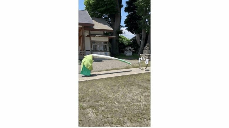 （出典:有鹿神社）