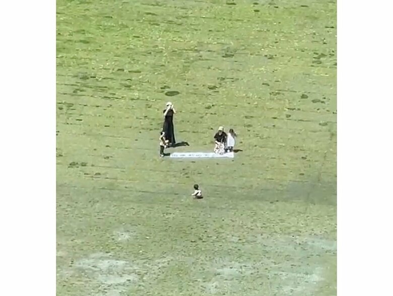 病室から見た様子（提供：ぴかさん）