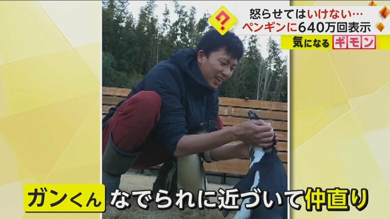 20分後になでられに近づいて来て、仲直りした様子