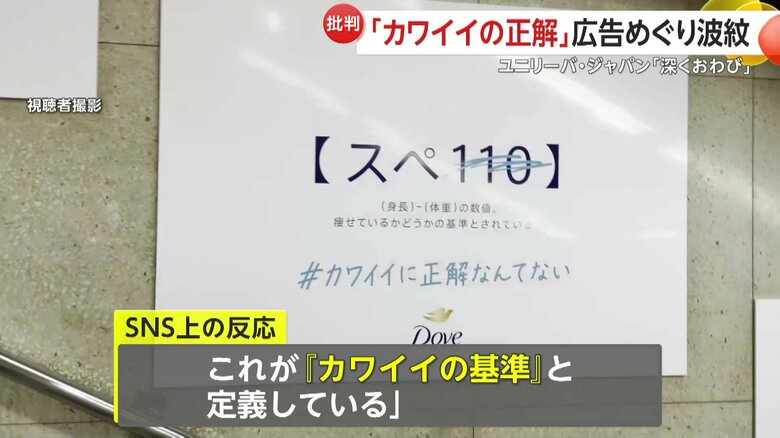 SNSでは「これが『カワイイの基準』と定義している」などの批判的な投稿も