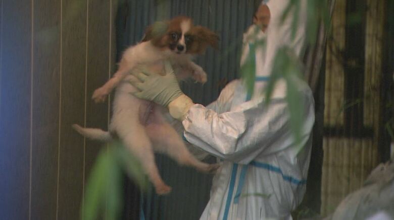 飼育施設への家宅捜索（長野県松本市　2021年9月）