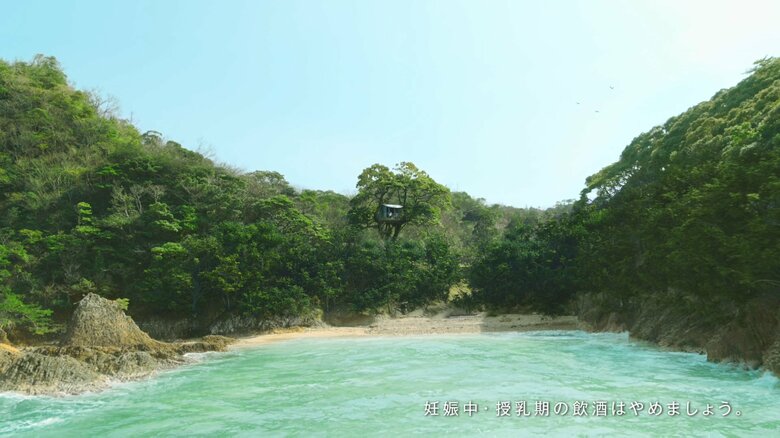 「GREEN JUKEBOX 君」編