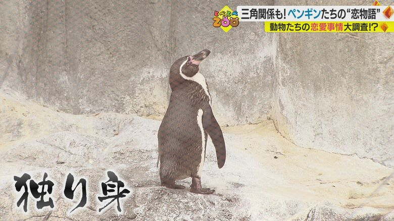寂しそうな背中