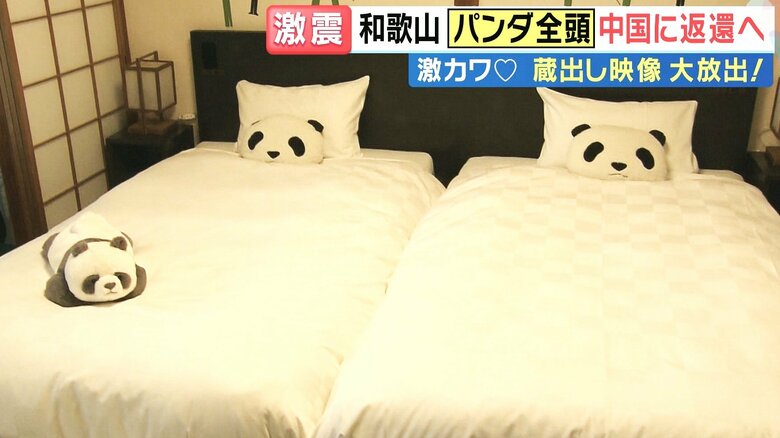 「海が見えるパンダの部屋」