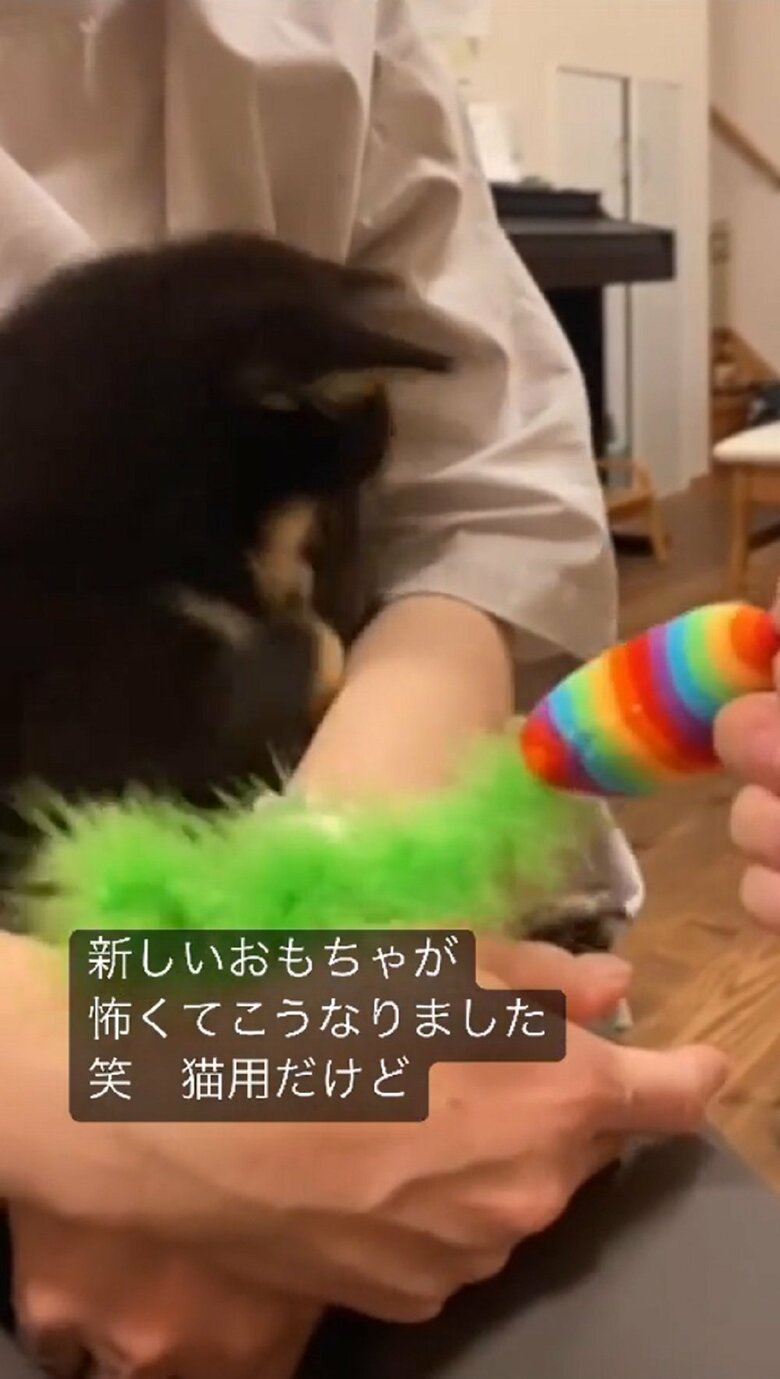 フルフル振ると…