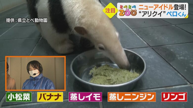 野菜がたっぷり 歯がないアリクイに合わせたスムージー