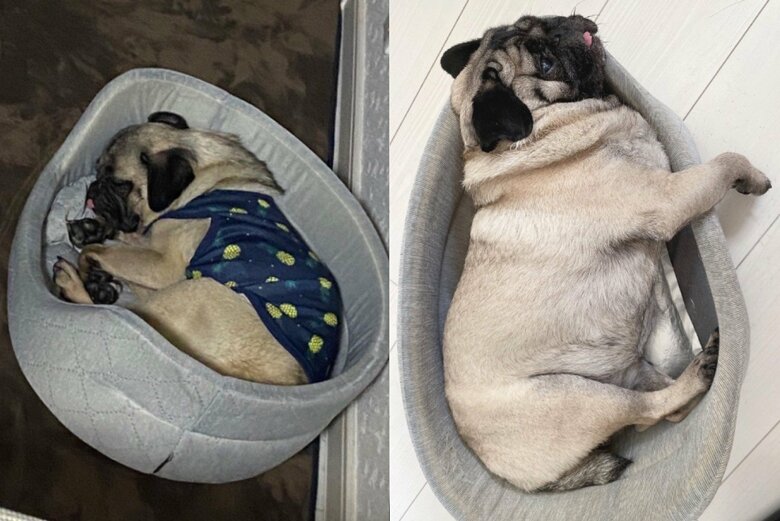 左：2021年→右：2022年（提供：ボンさん）