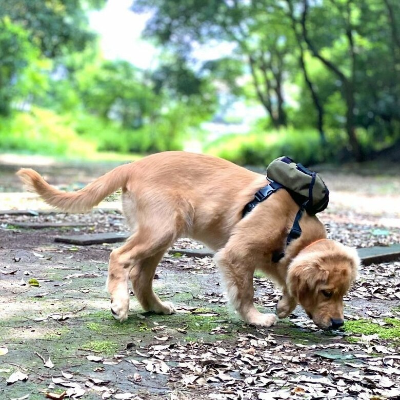 約3カ月頃　プチ登山へ