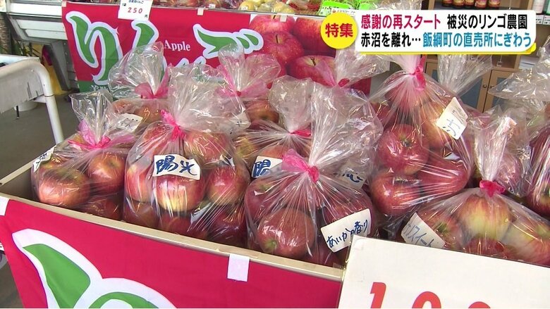 直売所の店頭に並んだ様々な種類のリンゴ