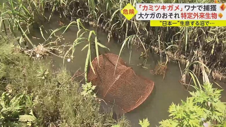 用水路にワナが仕掛けられている