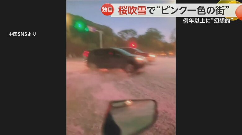 一面ピンク色に染まった道路を行き交う車がかき分けて進む様子