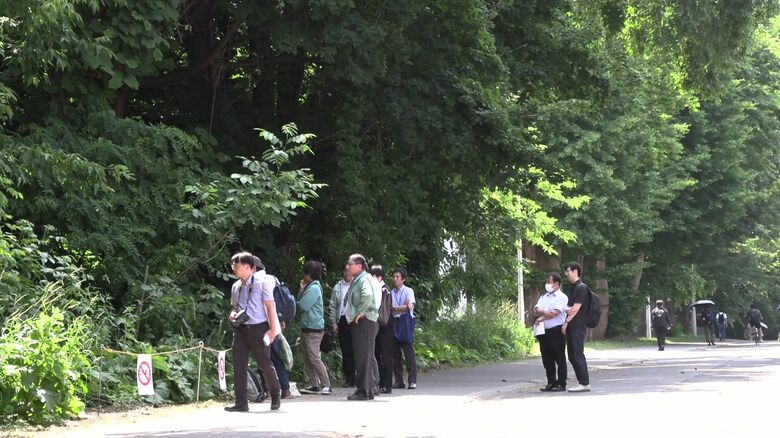 人通りも多い通り沿いだが、健康被害は寄せられていない