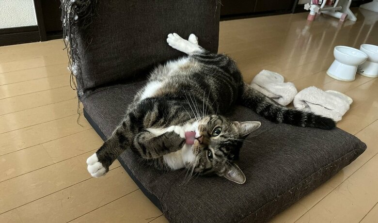 ぺろり