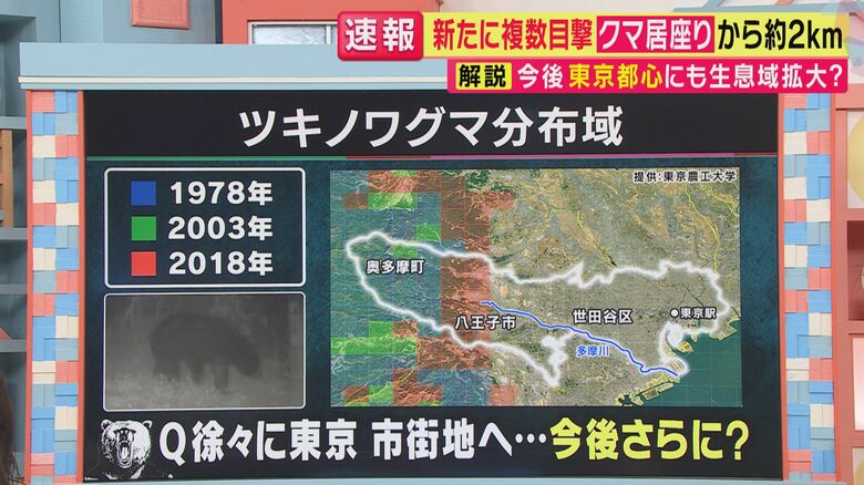 ツキノワグマの分布域