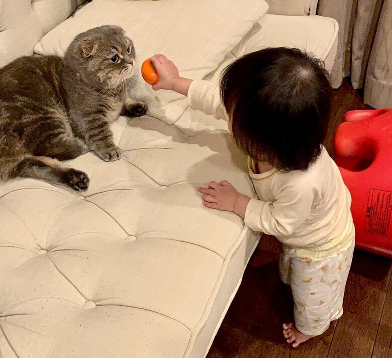 おもちゃのニンジンどうぞ