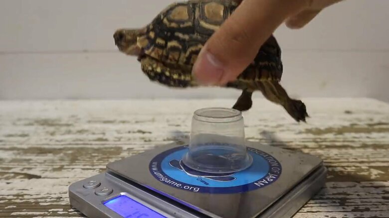 測定は数秒で終了。すぐに降ろされていた