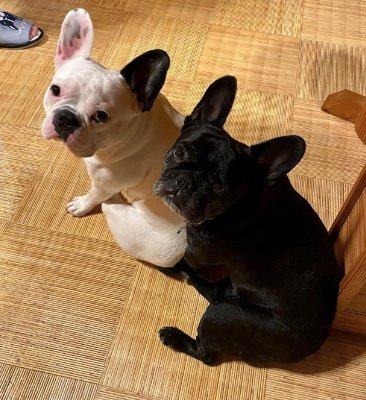 提供：天使の笑顔さん