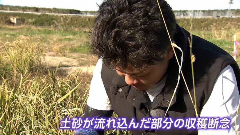 被害に遭った田んぼの持ち主の齋藤颯さん