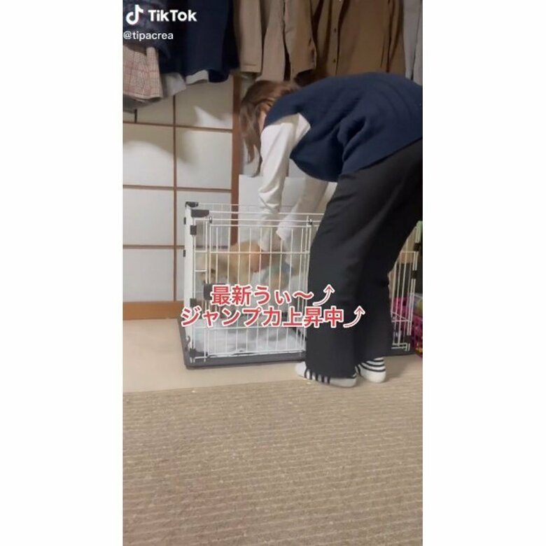 提供：tipacrea02140113さん