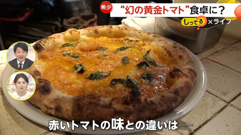 「幻の黄金トマト缶 Tiarlum」で作ったソースを使用したピザ