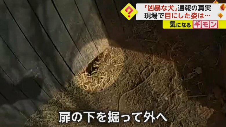 （画像：Oklahoma County Sheriff's Office）